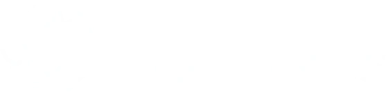 Big Brain Holdings